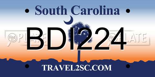 BDI224 South Carolina License Plate