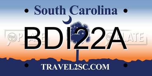 BDI22A South Carolina License Plate