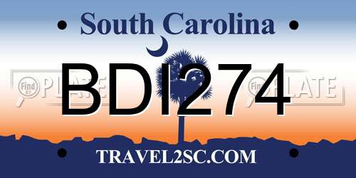 BDI274 South Carolina License Plate