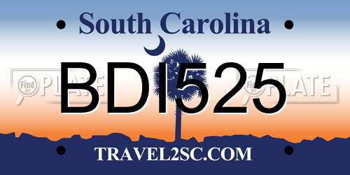 BDI525 South Carolina License Plate