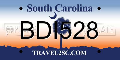 BDI528 South Carolina License Plate