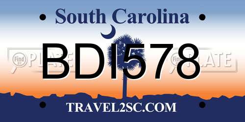 BDI578 South Carolina License Plate