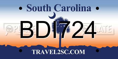 BDI724 South Carolina License Plate