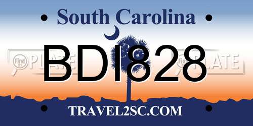 BDI828 South Carolina License Plate