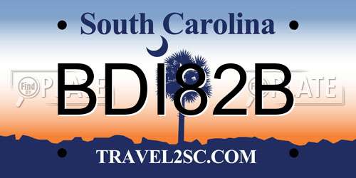BDI82B South Carolina License Plate