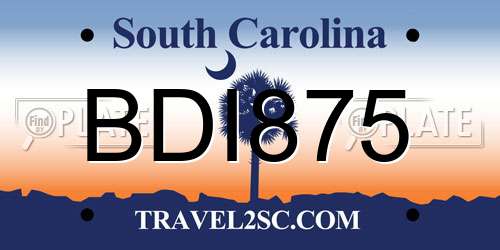 BDI875 South Carolina License Plate