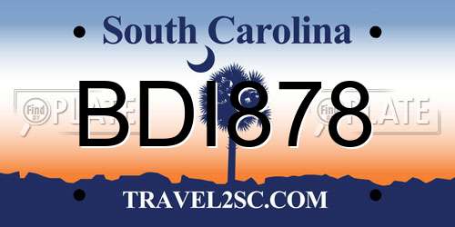 BDI878 South Carolina License Plate