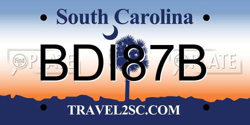 BDI87B South Carolina License Plate
