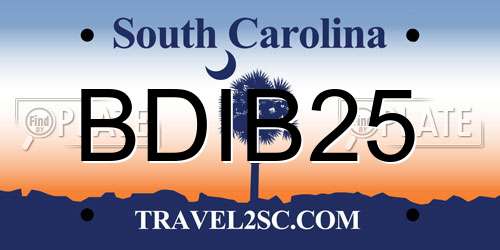 BDIB25 South Carolina License Plate