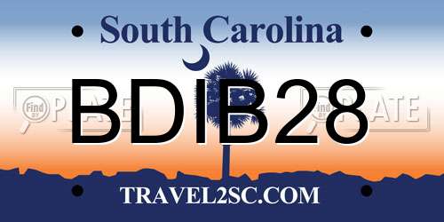 BDIB28 South Carolina License Plate