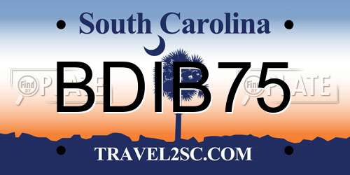 BDIB75 South Carolina License Plate