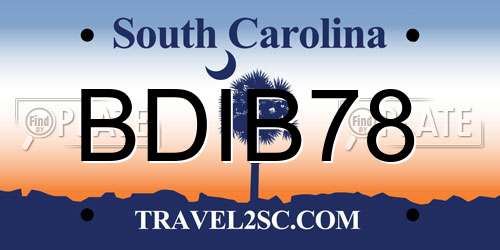 BDIB78 South Carolina License Plate