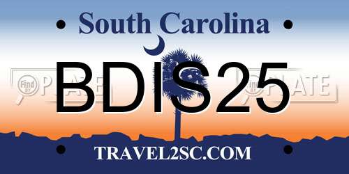 BDIS25 South Carolina License Plate