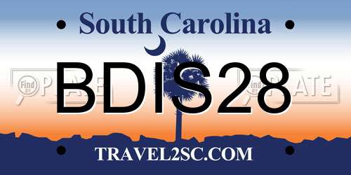 BDIS28 South Carolina License Plate