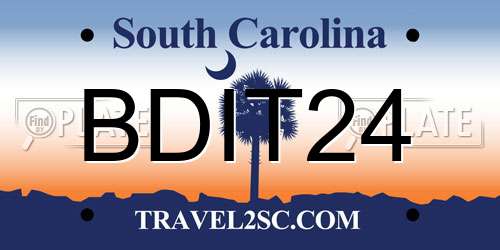 BDIT24 South Carolina License Plate