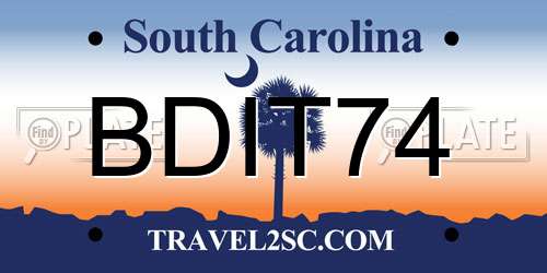 BDIT74 South Carolina License Plate