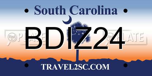 BDIZ24 South Carolina License Plate