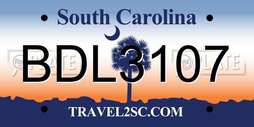 BDL3107 South Carolina License Plate