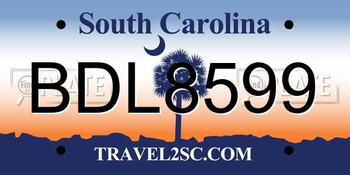 BDL8599 South Carolina License Plate