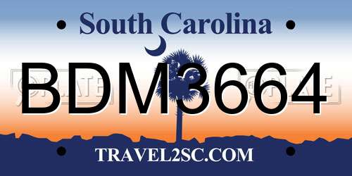 BDM3664 South Carolina License Plate