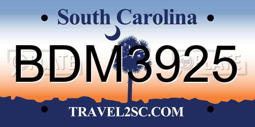 BDM3925 South Carolina License Plate