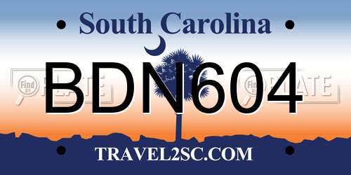 BDN604 South Carolina License Plate