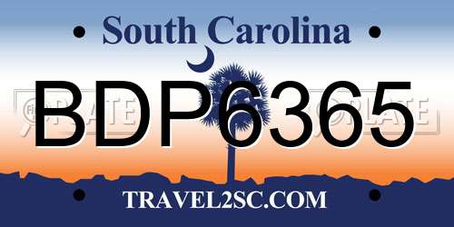 BDP6365 South Carolina License Plate