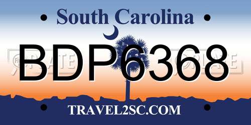 BDP6368 South Carolina License Plate