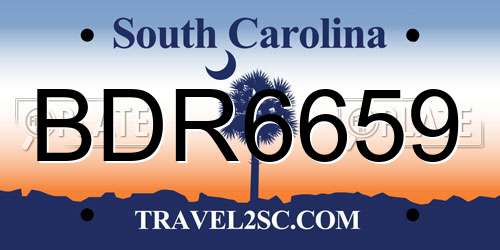 BDR6659 South Carolina License Plate