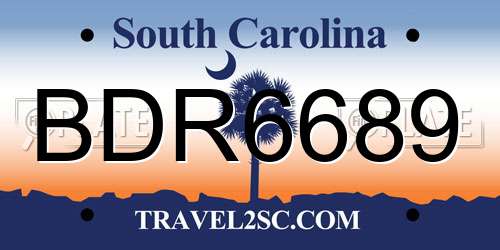 BDR6689 South Carolina License Plate