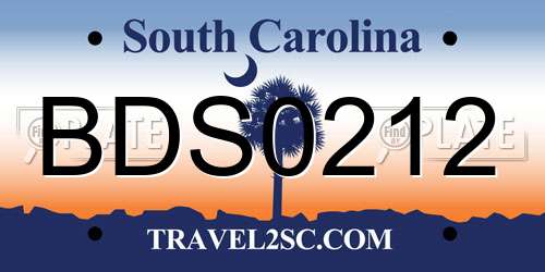 BDS0212 South Carolina License Plate