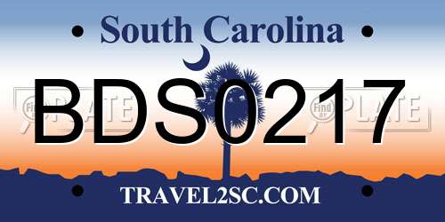 BDS0217 South Carolina License Plate