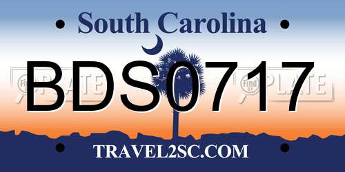 BDS0717 South Carolina License Plate