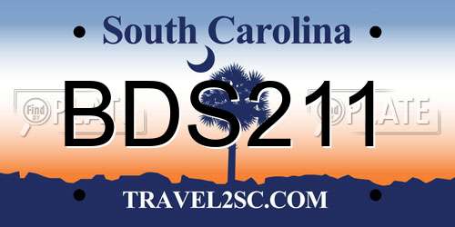 BDS211 South Carolina License Plate