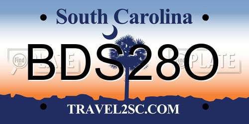 BDS28O South Carolina License Plate