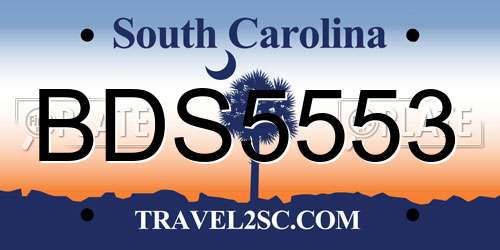 BDS5553 South Carolina License Plate