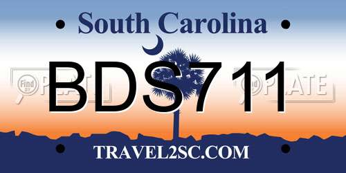 BDS711 South Carolina License Plate