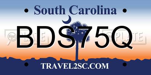 BDS75Q South Carolina License Plate