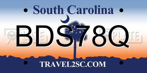 BDS78Q South Carolina License Plate