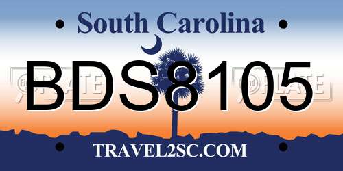 BDS8105 South Carolina License Plate