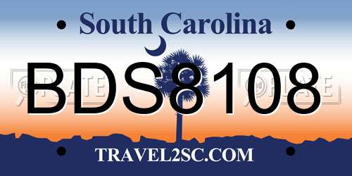 BDS8108 South Carolina License Plate
