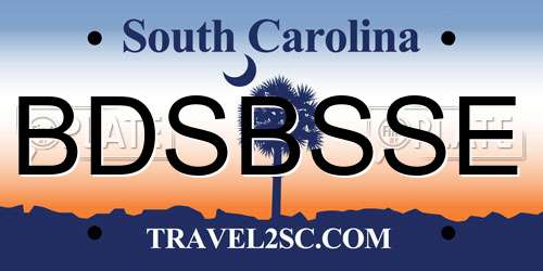 BDSBSSE South Carolina License Plate