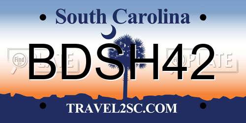 BDSH42 South Carolina License Plate