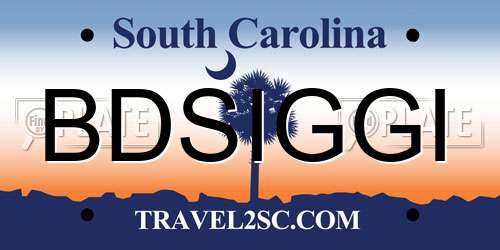 BDSIGGI South Carolina License Plate