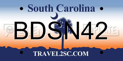 BDSN42 South Carolina License Plate