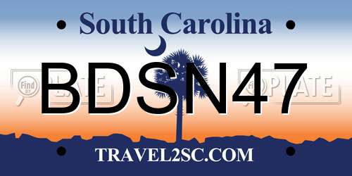 BDSN47 South Carolina License Plate