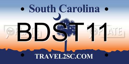 BDST11 South Carolina License Plate