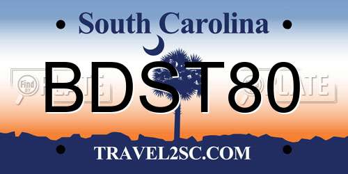 BDST80 South Carolina License Plate