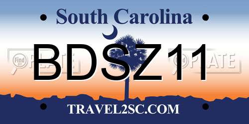 BDSZ11 South Carolina License Plate