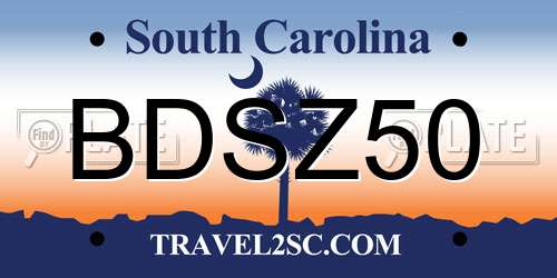 BDSZ50 South Carolina License Plate
